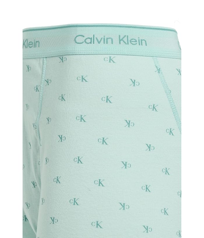 Calvin Klein Underwear Cotton Classics Boxer Brief 3-Pack - Image 3