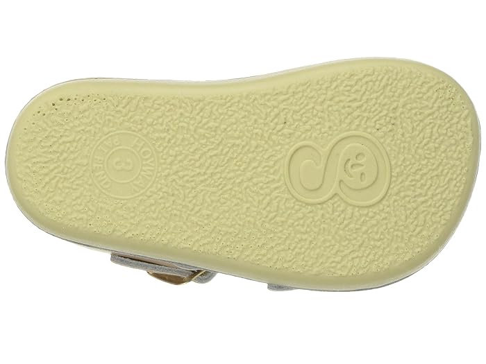 Salt Water Sandal by Hoy Shoes Sun-San - Sea Wees (Infant/Toddler) - Image 3