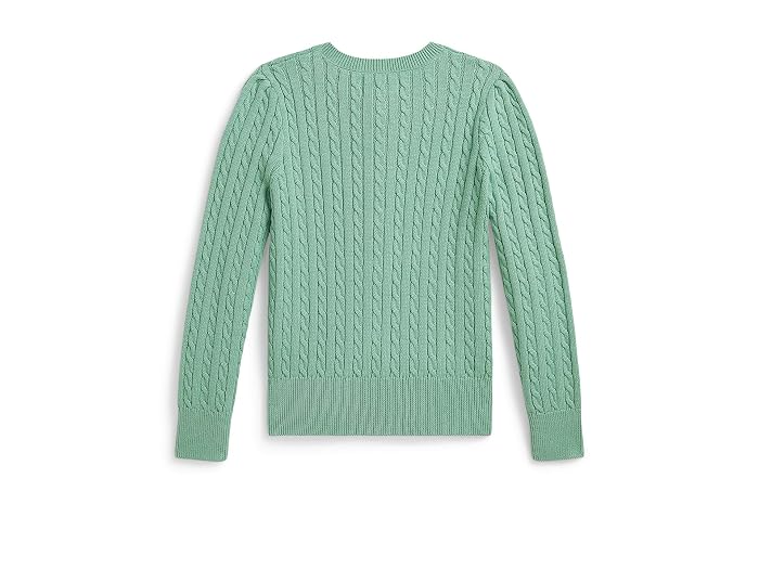 Polo Ralph Lauren Kids Cable Knit Cotton Cardigan (Toddler/Little Kid) - Image 2