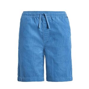 Quiksilver Kids Taxer Cord Shorts (Big Kid)