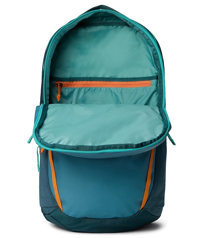 Cotopaxi 26 L Allpa Daypack - Image 3