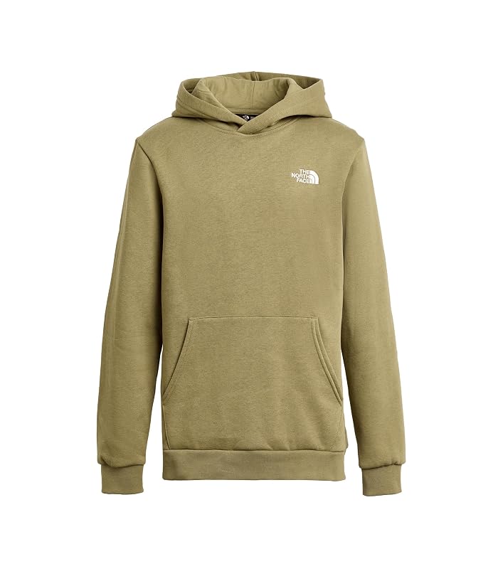 The North Face Kids Evolution Simple Dome Pullover Hoodie (Little Kid/Big Kid) - Image 3