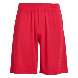 adidas Kids Essentials Big Logo Shorts (Big Kid)