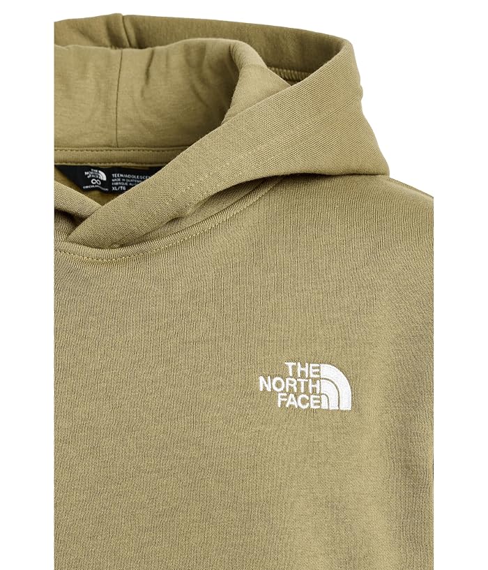The North Face Kids Evolution Simple Dome Pullover Hoodie (Little Kid/Big Kid) - Image 2