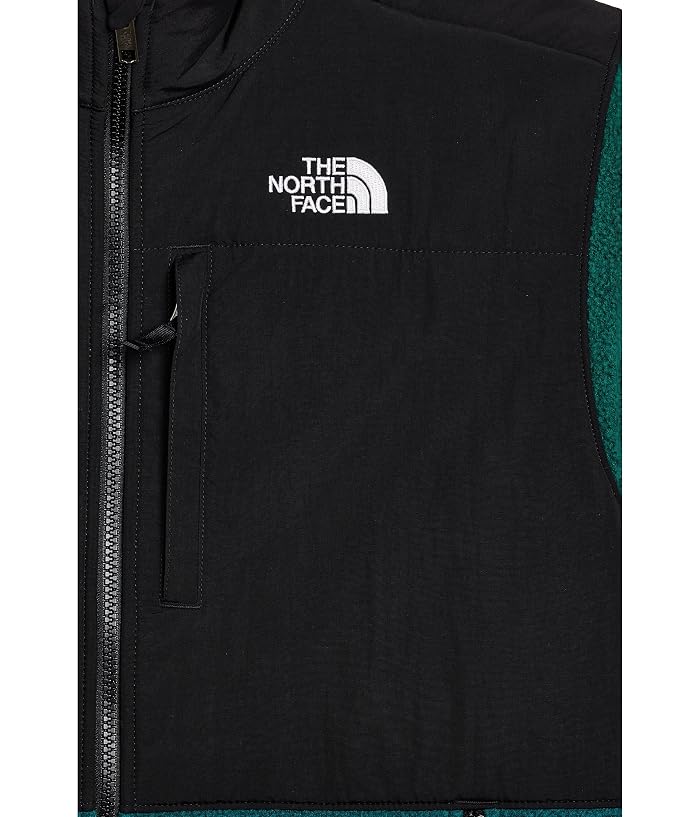 The North Face Kids Denali Jacket (Little Kid/Big Kid) - Image 3