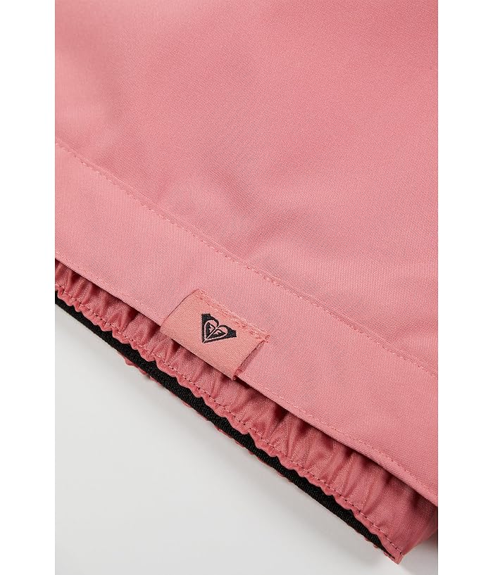 Quiksilver Kids Roxy Backyard Pant (Big Kids) - Image 3