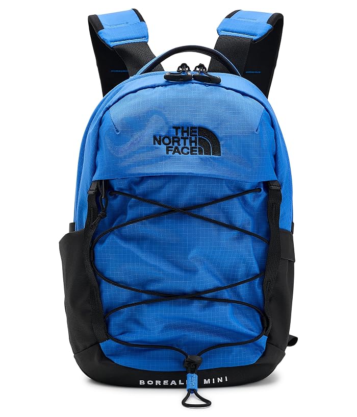 The North Face Borealis Mini Backpack