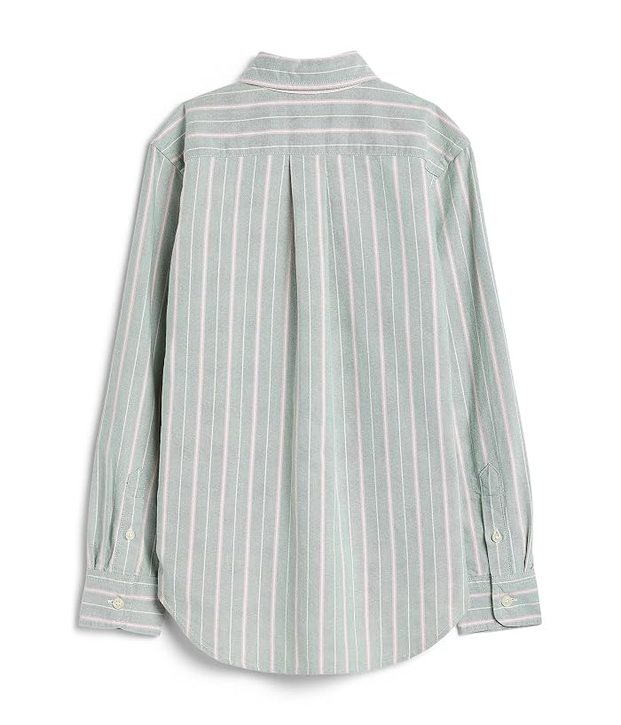 Polo Ralph Lauren Kids Striped Cotton Oxford Shirt (Big Kid) - Image 2