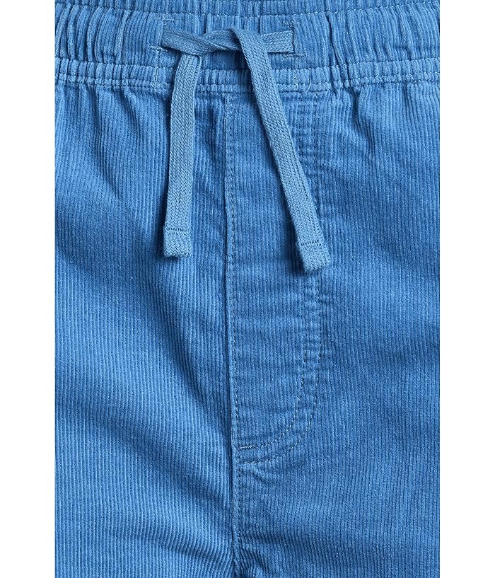 Quiksilver Kids Taxer Cord Shorts (Big Kid) - Image 3