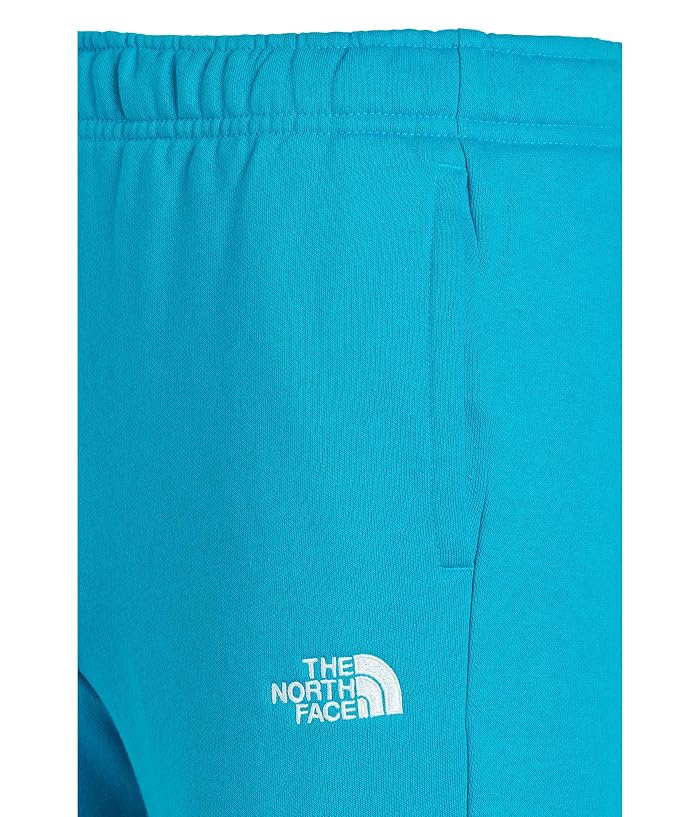 The North Face Kids Evolution Simple Dome Pants (Little Kid/Big Kid) - Image 3
