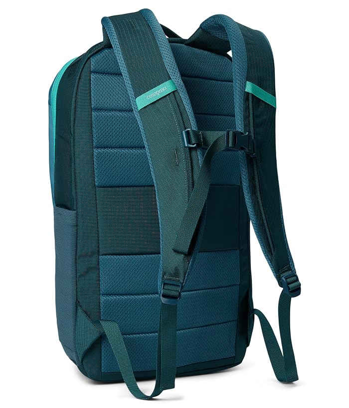 Cotopaxi 26 L Allpa Daypack - Image 2
