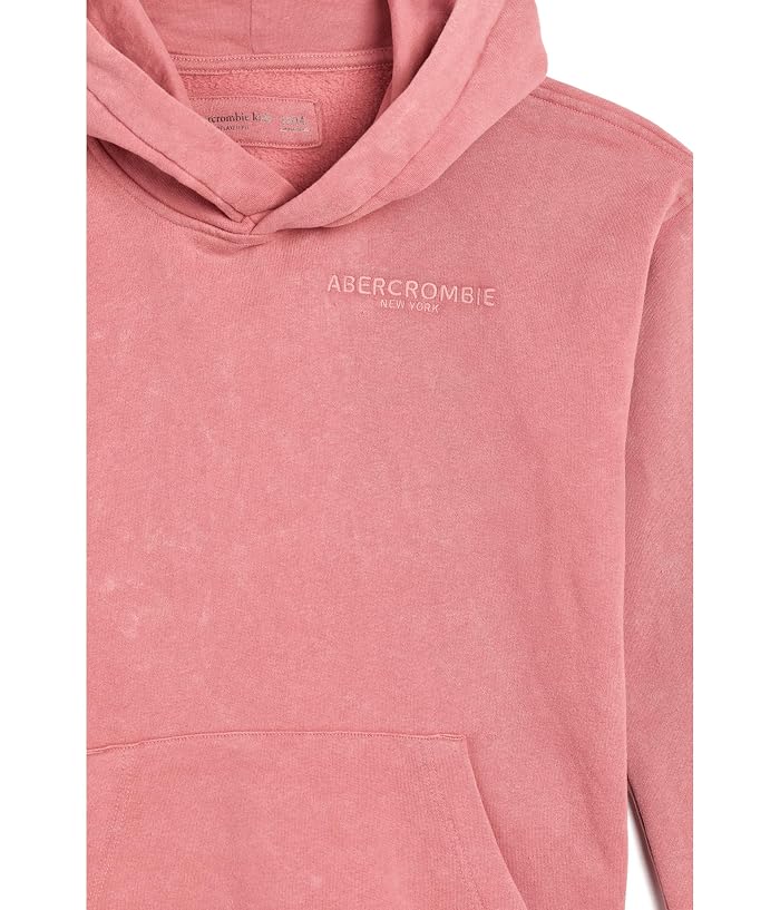 abercrombie kids Sunfaded Pullover Hoodie (Big Kids) - Image 3