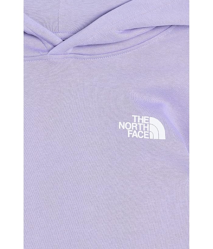 The North Face Kids Evolution Box NSE Pullover Hoodie (Little Kid/Big Kid) - Image 3