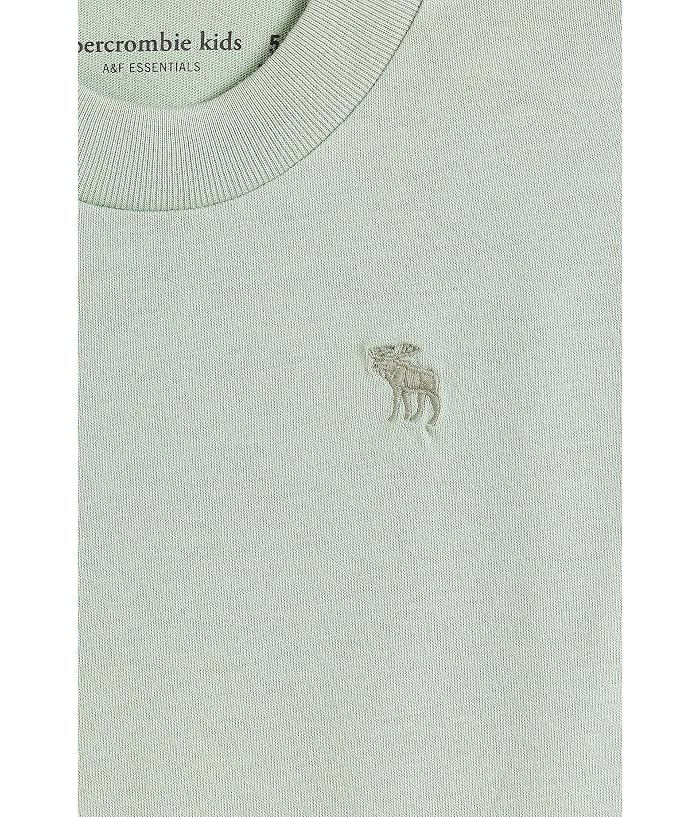 abercrombie kids Short Sleeve Essential T-Shirt (Little Kid/Big Kid) - Image 3