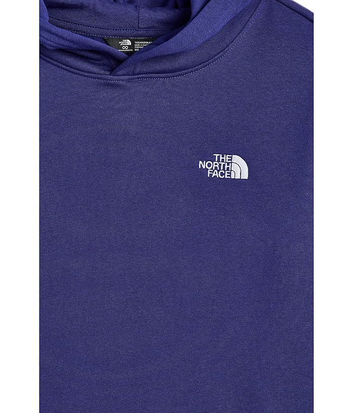 The North Face Kids Evolution Simple Dome Pullover Hoodie (Little Kid/Big Kid) - Image 3
