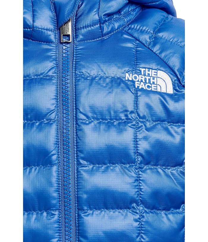 The North Face Kids ThermoBall Hooded Jacket (Toddler) - Image 3